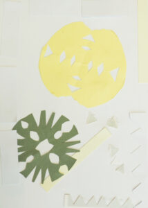 Krystian Stępień, Wycinanka