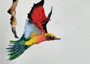 Anastazja Furga, Akwarela