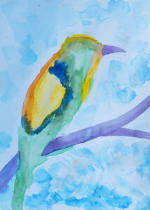 Bartek Stępień, Akwarela