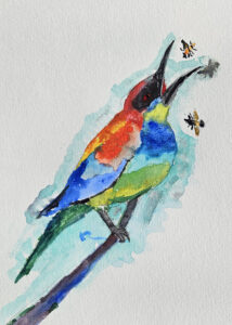 Bartek Banasiński, Akwarela